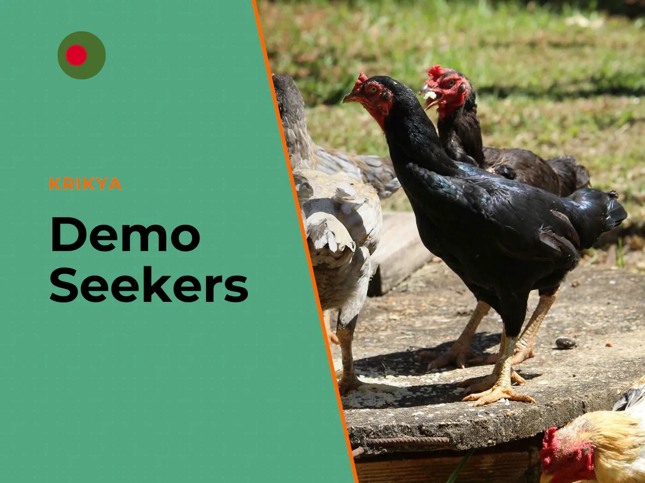 Who Chicken Road Suits: Demo Seekers, Bonus Hunters and Real Money Players. Not everyone arrives at this game with the same goal. Roughly speaking, interest splits into three groups: **Demo seekers** 